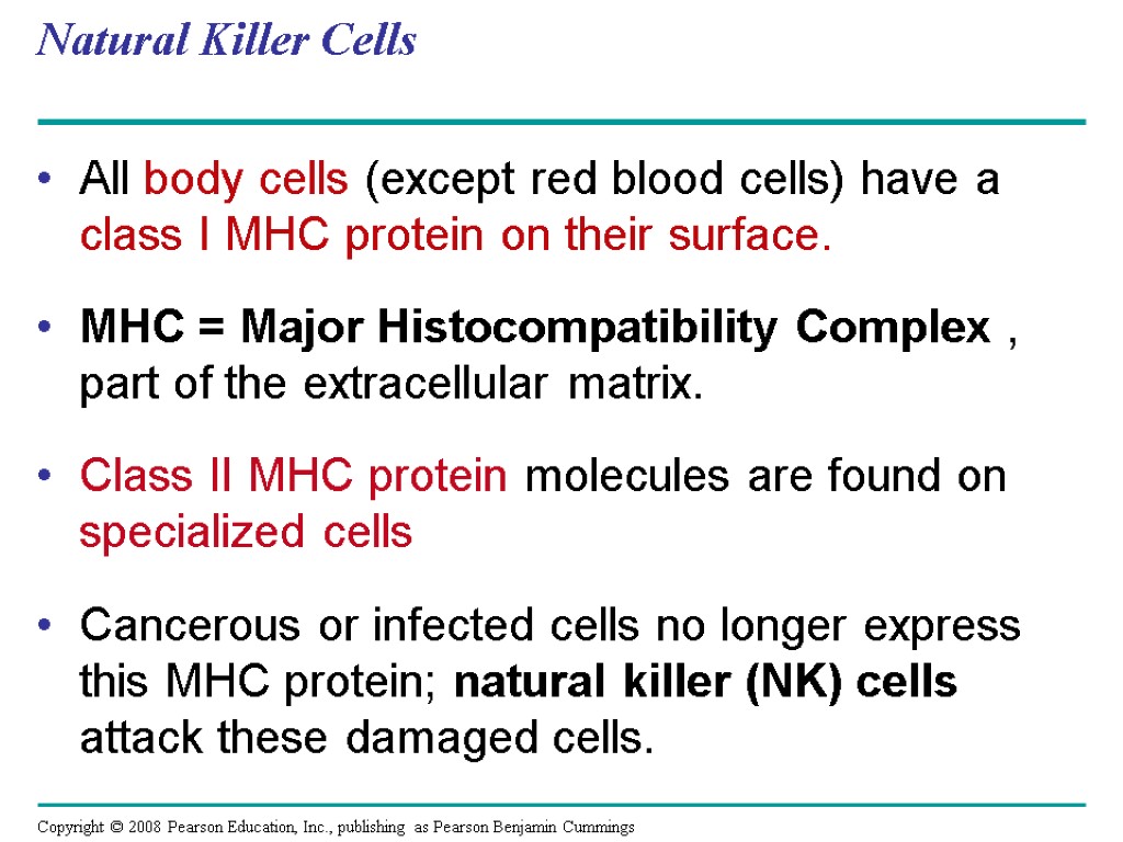 Natural Killer Cells All body cells (except red blood cells) have a class I